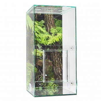 ANTCUBE - Starter kit for weaver ants - big